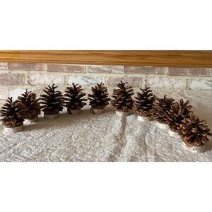 Pinecone & Birch Place Card Holders - Set Of 10 Natural Rustic Table Decor